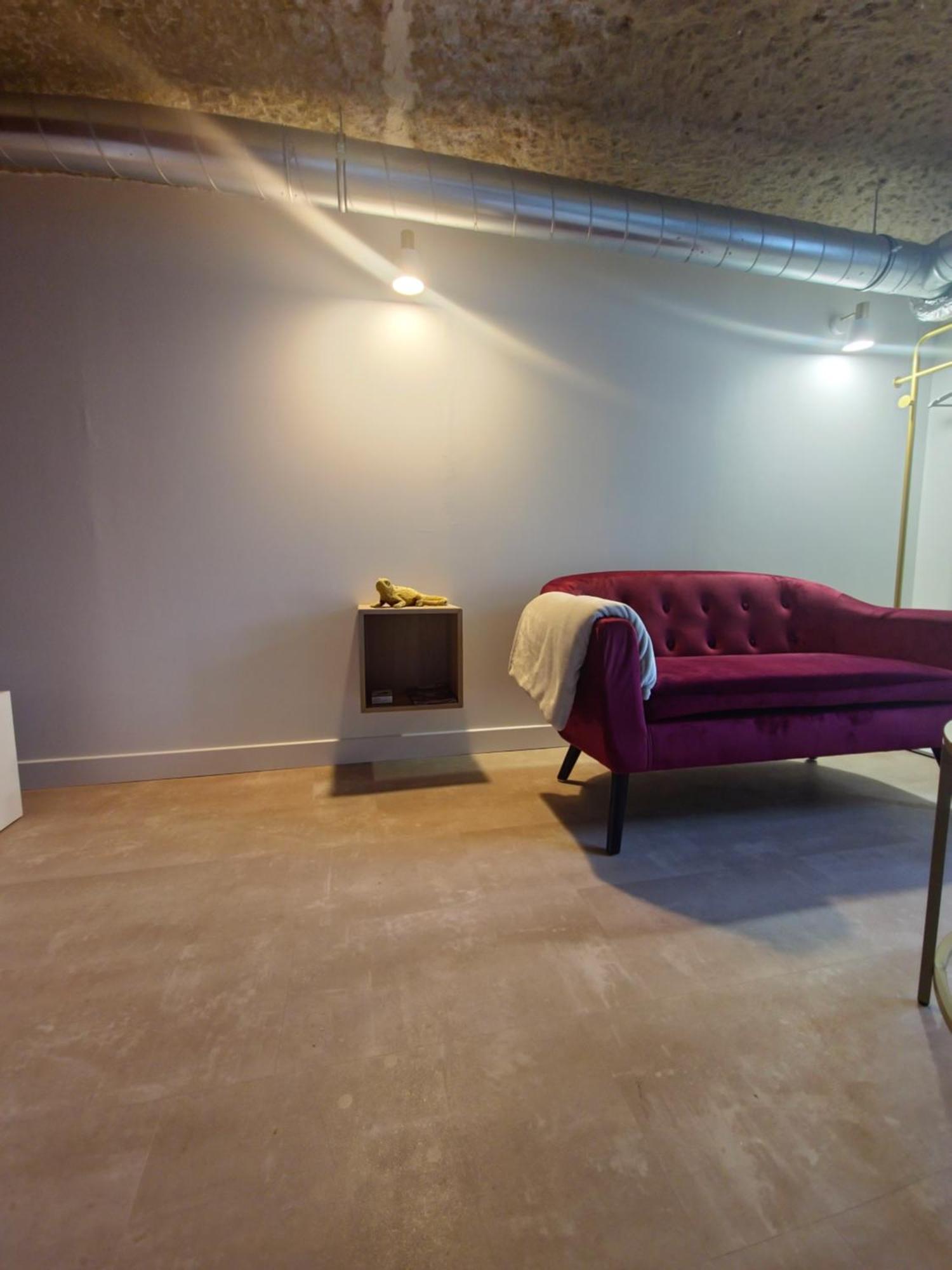 Appartement Le Cocon Troglodyte à Saint-Étienne-de-Chigny Extérieur photo