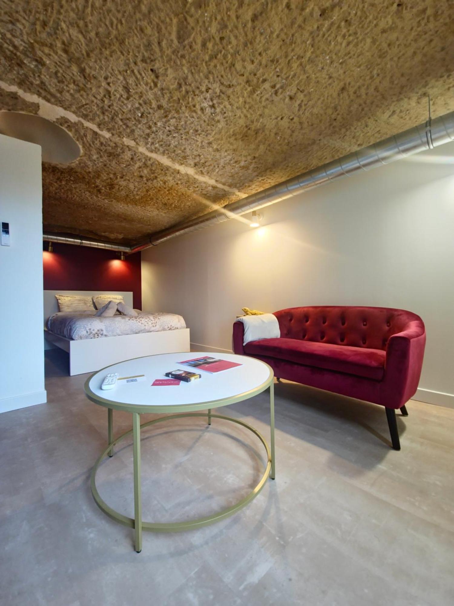 Appartement Le Cocon Troglodyte à Saint-Étienne-de-Chigny Extérieur photo